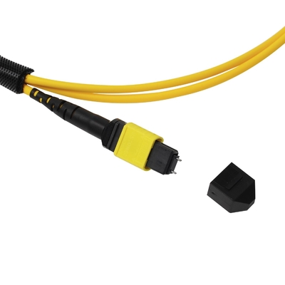Пленум OFNP MPO Patch Cord 1m 3ft MTP-12 APC Женщина к MTP-12 APC Женщина Однообразный режим OS2