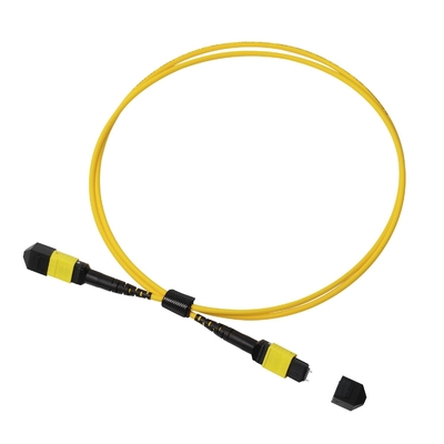Пленум OFNP MPO Patch Cord 1m 3ft MTP-12 APC Женщина к MTP-12 APC Женщина Однообразный режим OS2