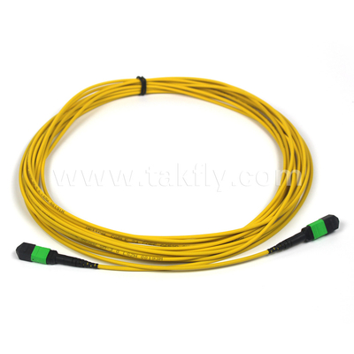 Пленум OFNP MPO Patch Cord 1m 3ft MTP-12 APC Женщина к MTP-12 APC Женщина Однообразный режим OS2