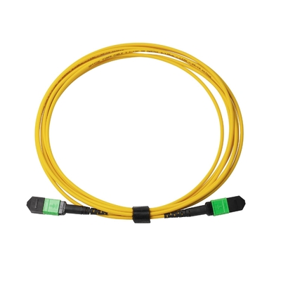 3 м 10 футов MTP-12 APC Женщина к MTP-12 APC Женщина Однообразный режим OS2 Пленум MPO Patch Cord Желтый
