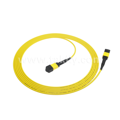 Центр обработки данных FTTX Волоконно-оптический кабель MPO Patch Cord MTP Trunk Cable бронированный SM MM Jumper