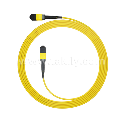 Центр обработки данных FTTX Волоконно-оптический кабель MPO Patch Cord MTP Trunk Cable бронированный SM MM Jumper
