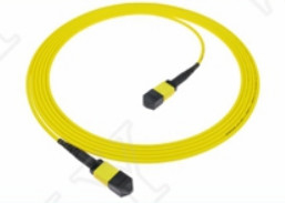 MTP-12 APC Женщина к MTP-12 APC Женщина SingleMode OS2 Plenum OFNP Type A MPO Patch Cord 5m 16ft