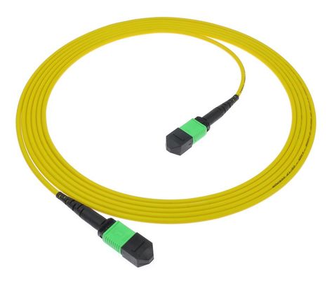 MPO/MTP Patch Cord PC и APC PVC/LSZH SM/MM