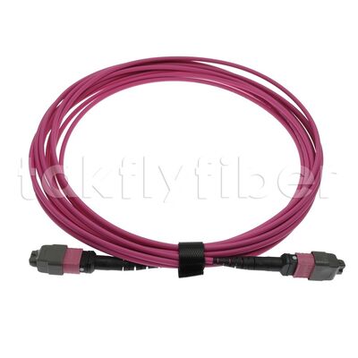 CPR B2ca Multimode OM4 MPO к MPO Fiber Trunk Cable, MTP-12 OM4 Женщина к Женщине, тип А, 5 м