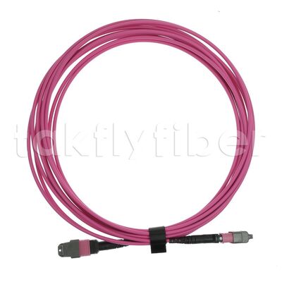 CPR B2ca Multimode OM4 MPO к MPO Fiber Trunk Cable, MTP-12 OM4 Женщина к Женщине, тип А, 5 м