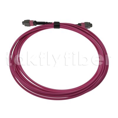CPR B2ca Multimode OM4 MPO к MPO Fiber Trunk Cable, MTP-12 OM4 Женщина к Женщине, тип А, 5 м
