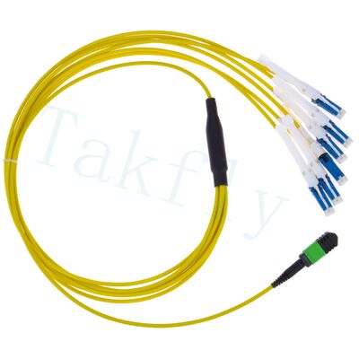MPO to CS Breakout Patch Cord