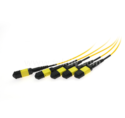 1×4 MPO/MTP SM PLC Splitter