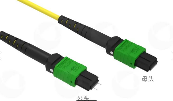 8F 12F 16F 24F MPO MTP Мужчина Женщина SM MM Fiber Optic Patchcord / Optical Fiber Patch Cable / Optical Breakout Cable / Optical Fiber Trunk Cable для центра обработки данных высокой плотности