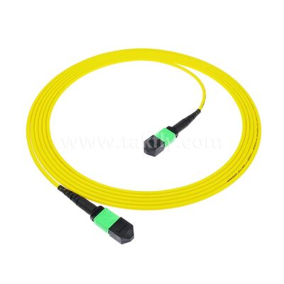 MPO MTP Patchcord SM Trunk Cable 12F Волоконно-оптический кабель для центра обработки данных