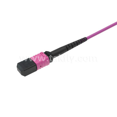MPO MTP Patchcord Multimode OM4 Trunk Cable 12F Fiber Optic for Data Center AI Telecom Cabling