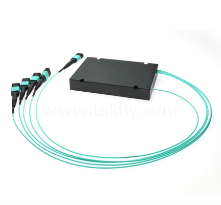 Сплиттер ПЛК 1×4 MPO/MTP OM3 — многоволоконный разветвитель высокой плотности для центров обработки данных