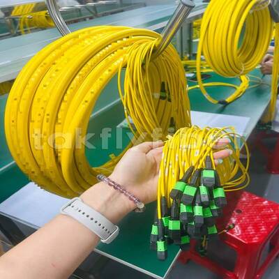 Takfly MPO/MTP Patch Cord 8/12/24 Ядра до 576 Ядер Низкая потеря 500 циклов спаривания Соответствует требованиям IEC & TIA