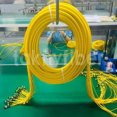 Takfly 288-Fiber MPO/MTP сверхплотный пластырь
