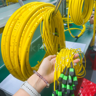 Takfly 288-Fiber MPO/MTP сверхплотный пластырь