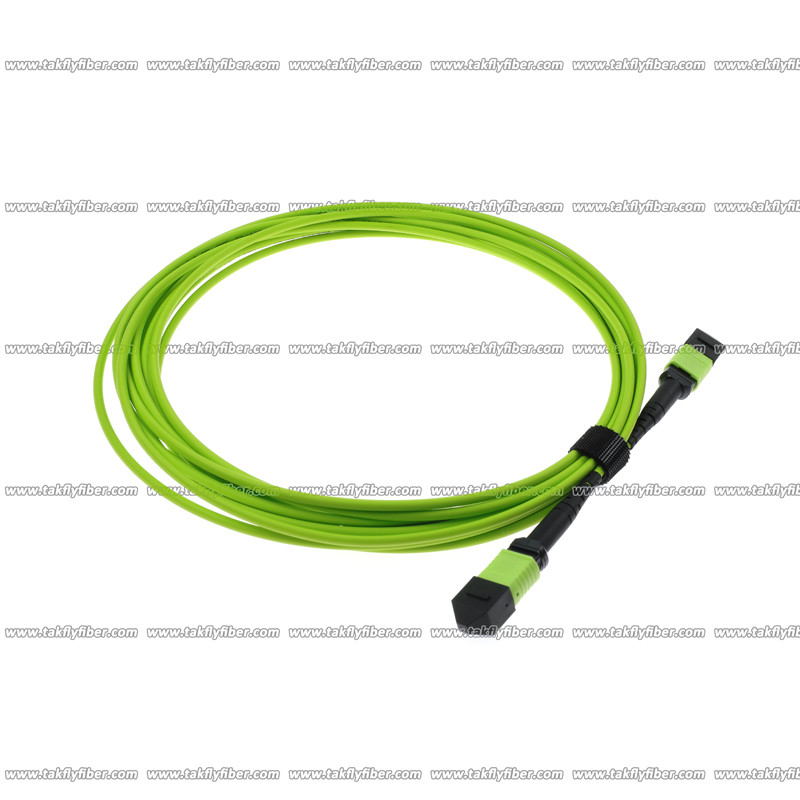 Мультимодный кабель 12 волокна OM5 MPO вырезает сердцевина из гибкого провода 3.0mm LSZH MPO