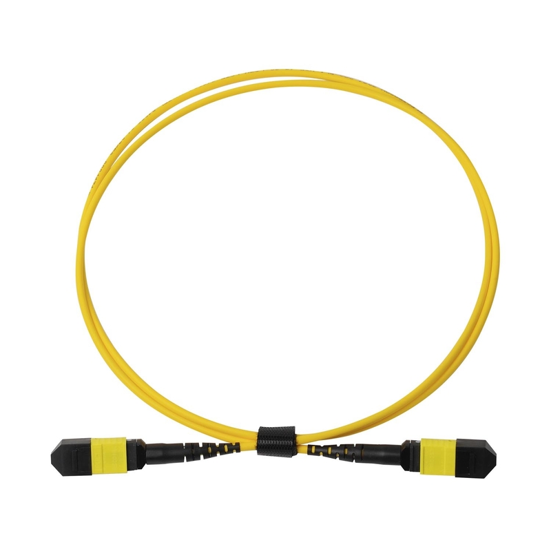 Пленум OFNP MPO Patch Cord 1m 3ft MTP-12 APC Женщина к MTP-12 APC Женщина Однообразный режим OS2