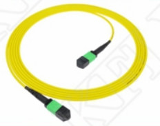2м 7ft MTP Patch Cord Plenum OFNP MPO Patch Cord Cable 3.0mm MTP 12F APC Женщина элита