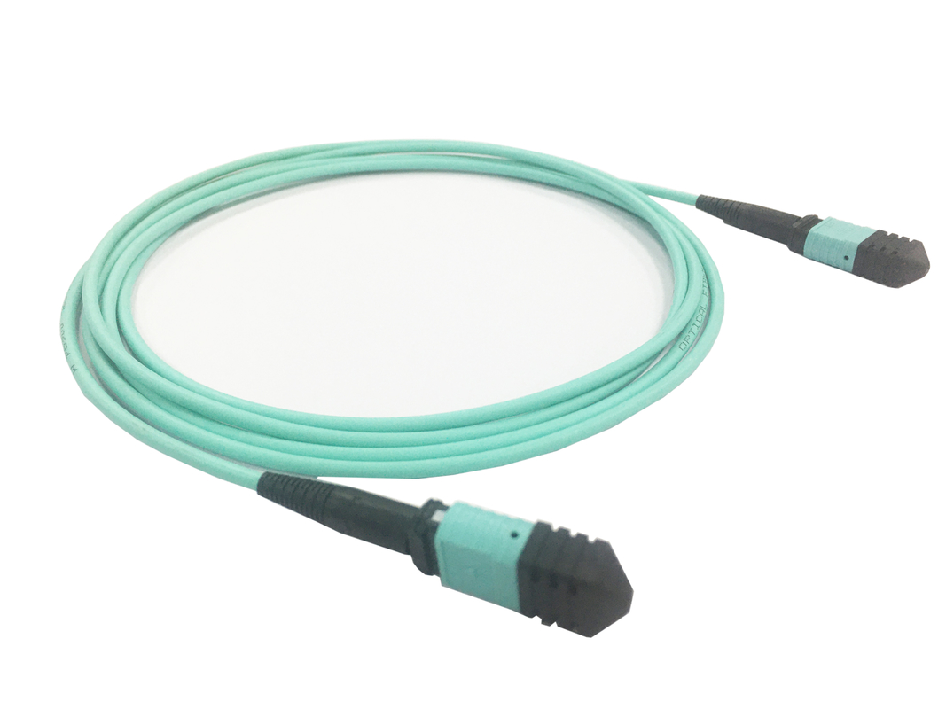Elite Multimode OM3 50/125, Plenum OFNP Type B MPO Patch Cord 3m 10ft MTP-12 PC женский к MTP-12 PC женский
