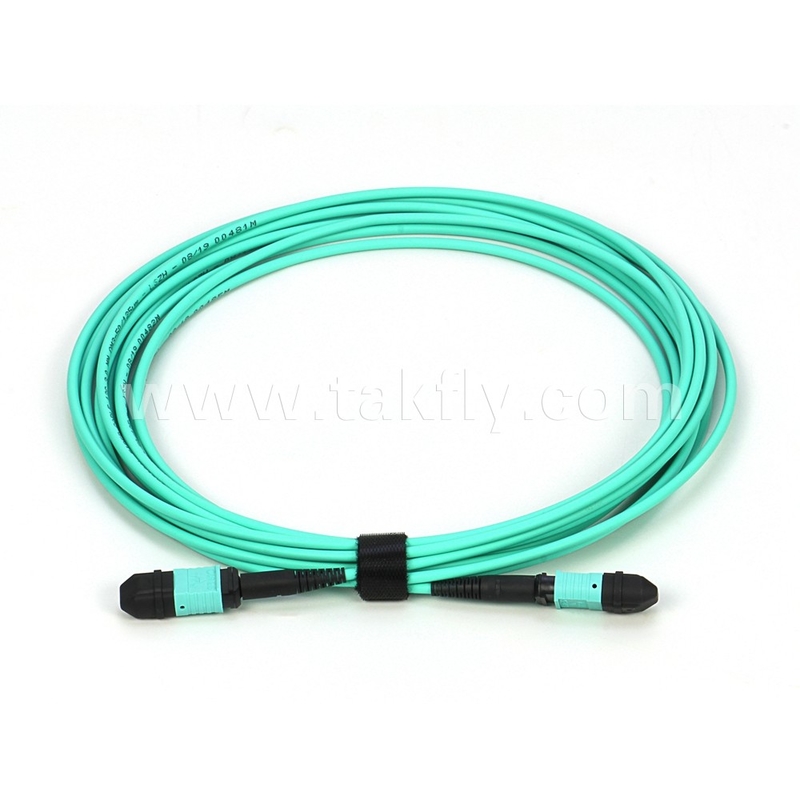 Элитный мультимод OM3 50/125 Пленум OFNP тип B MPO Патч Корд 30 м 100 футов MTP-12 PC Женщина к MTP-12 PC Женщина