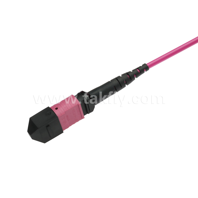 Elite Multimode OM4 50/125, Plenum OFNP Type B MPO Patch Cord 5m 16ft MTP-12 PC женский к MTP-12 PC женский
