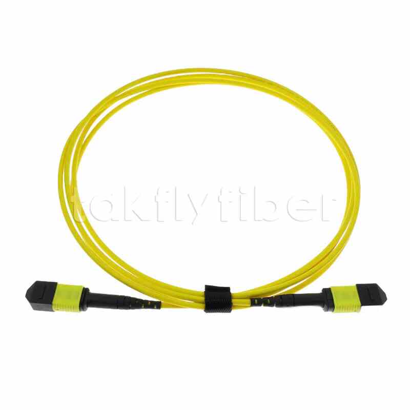 Plenum (OFNP) 0.35dB Max Type B MPO Male to MPO Female Fiber Patch Cable