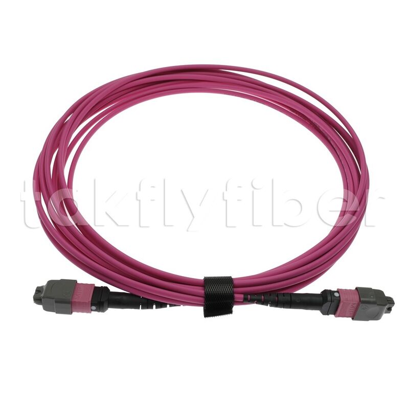 CPR B2ca Multimode OM4 MPO к MPO Fiber Trunk Cable, MTP-12 OM4 Женщина к Женщине, тип А, 5 м