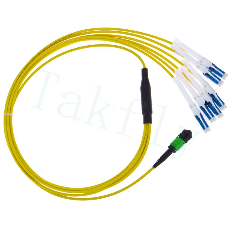 MPO to CS Breakout Patch Cord
