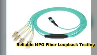 MPO 跳线
